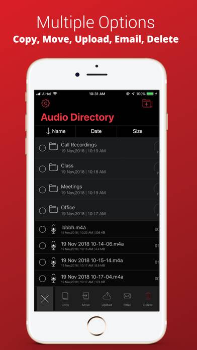 Voice Recorder Plus Pro Captura de pantalla de la aplicación #3