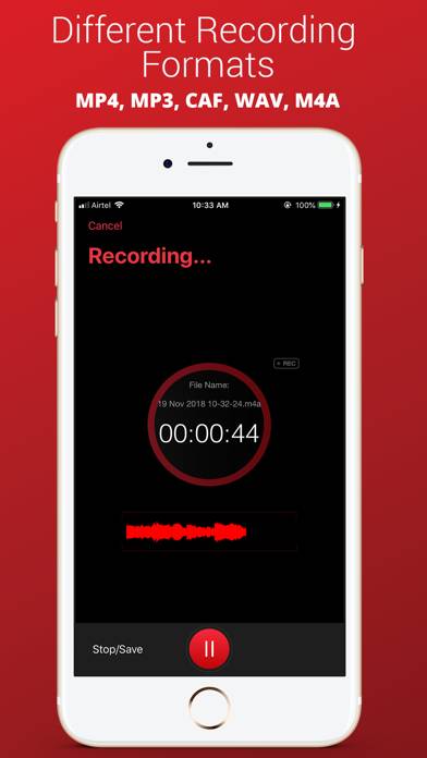 Voice Recorder Plus Pro Captura de pantalla de la aplicación #4