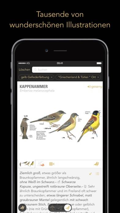 Collins Bird Guide Schermata dell'app #3