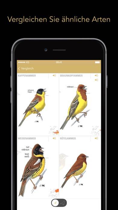 Collins Bird Guide Schermata dell'app #4