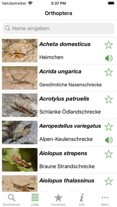 Orthoptera App screenshot #1