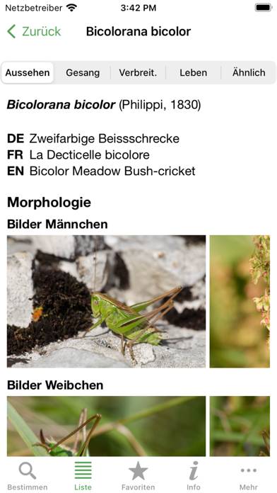 Orthoptera App screenshot #2