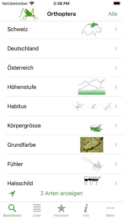 Orthoptera Captura de pantalla de la aplicación #6