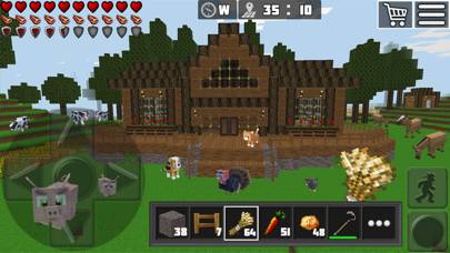 World Craft: Mine & Build 3D Uygulama ekran görüntüsü #2
