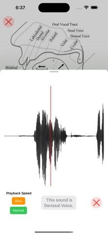 IPA Phonetics App skärmdump
