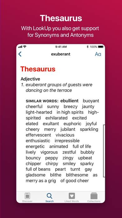 LookUp Dictionary: Learn Daily Captura de pantalla de la aplicación #6