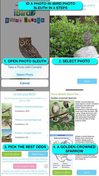IBird Ultimate Guide to Birds App screenshot #3