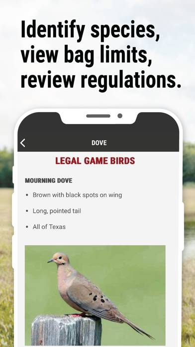 Texas Outdoor Annual App screenshot #5