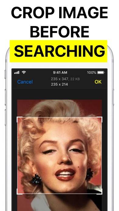 Reversee: Reverse Image Search App-Screenshot #4