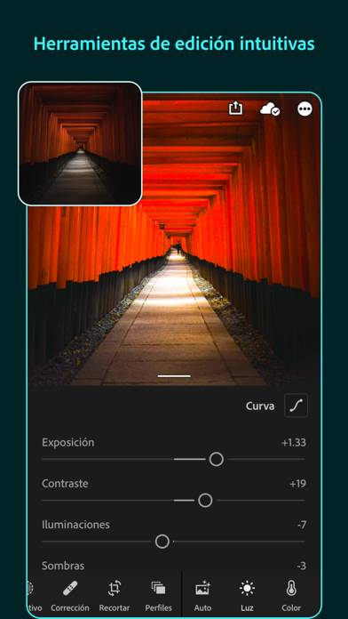 Lightroom Photo & Video Editor Captura de pantalla de la aplicación #2