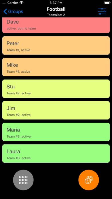 Team Roulette App screenshot