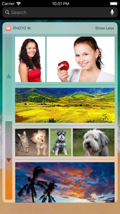 Photo Widget App-Screenshot #4