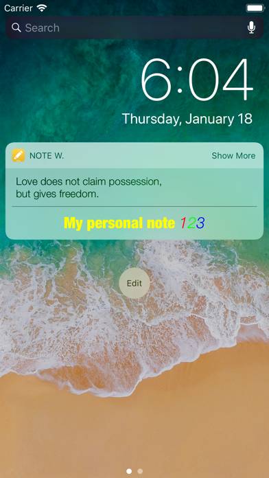 Note Widget App-Screenshot #2