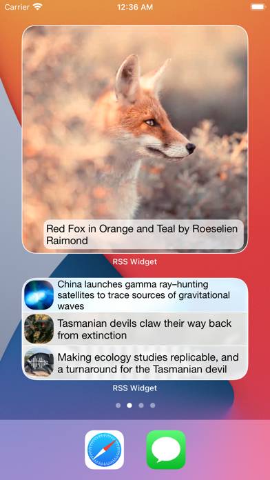 RSS Widget Schermata dell'app #2