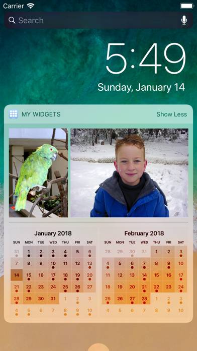 My Widgets App-Screenshot #6