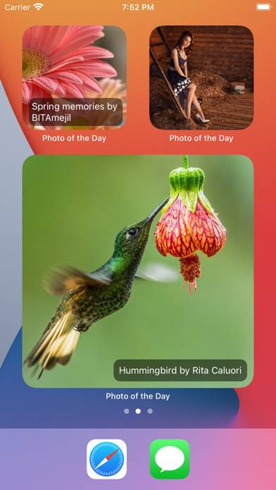 Photo Of The Day Widget App screenshot #1