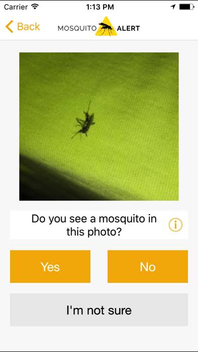 Mosquito Alert Schermata dell'app #2