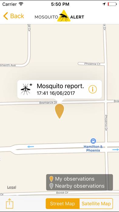 Mosquito Alert Captura de pantalla de la aplicación #3