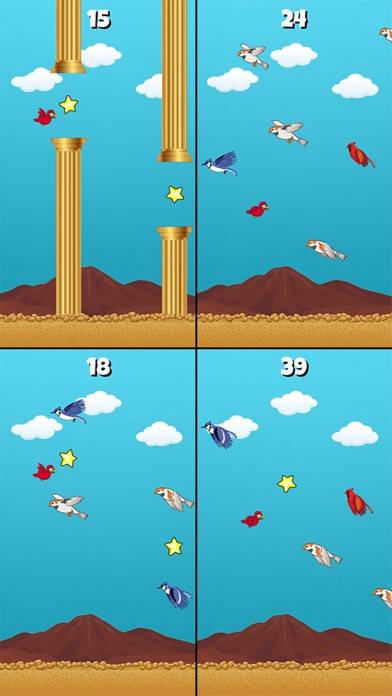 Crazy Bird Classic App preview #1