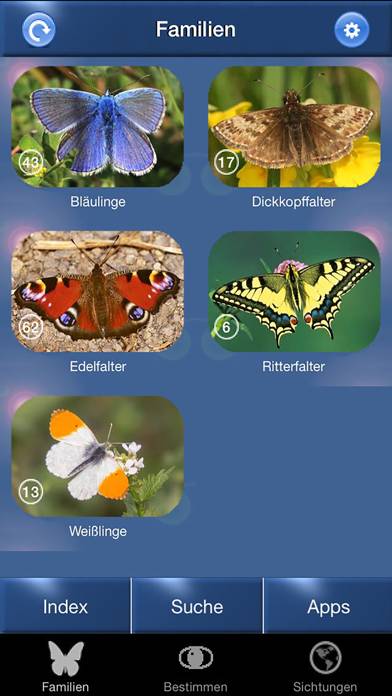 Schmetterling Id App screenshot #1