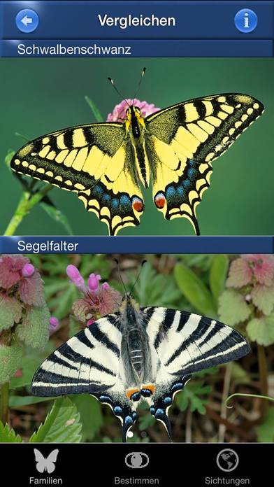 Schmetterling Id App screenshot #2