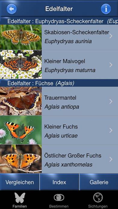 Schmetterling Id App-Screenshot #3