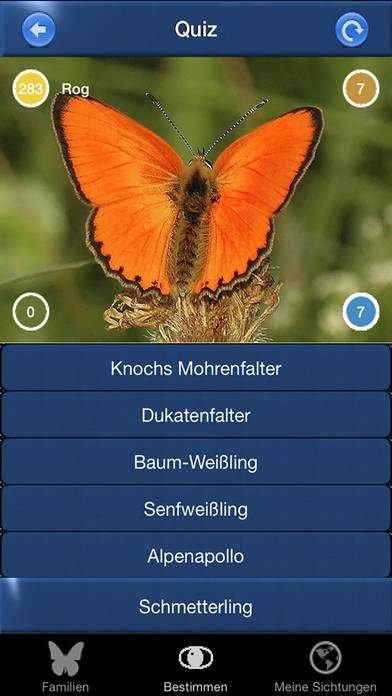 Schmetterling Id App-Screenshot #4