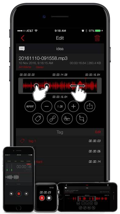 Awesome Voice Recorder PRO AVR Captura de pantalla de la aplicación #2
