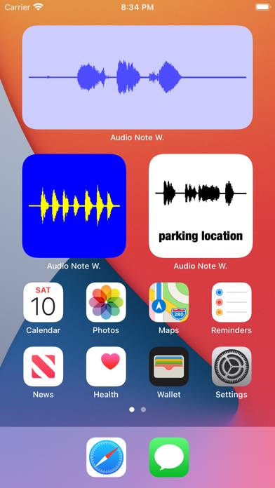 Audio Note Widget App screenshot #1