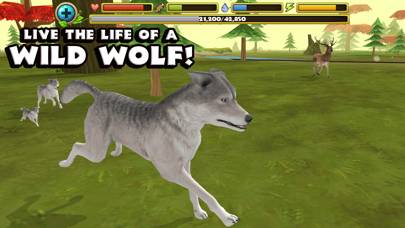 Wildlife Simulator: Wolf skärmdump