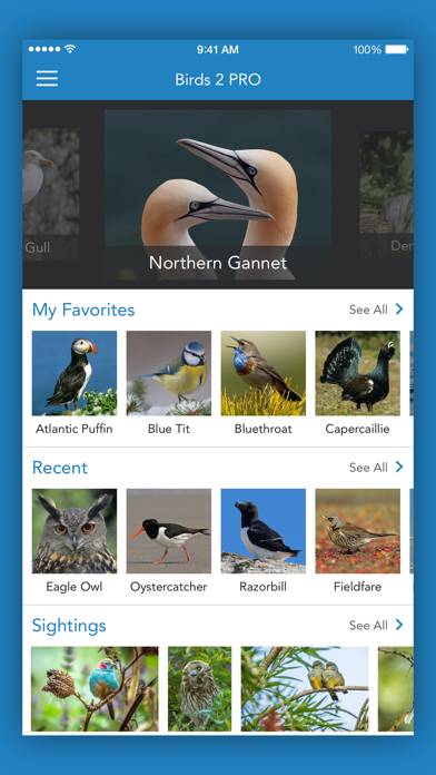 IKnow Birds 2 PRO Capture d'écran de l'application #1