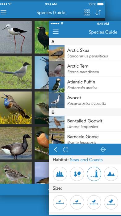 IKnow Birds 2 PRO Capture d'écran de l'application #2