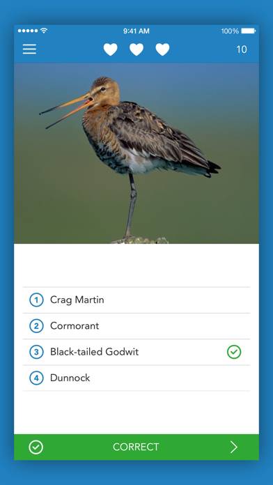 IKnow Birds 2 PRO Capture d'écran de l'application #4