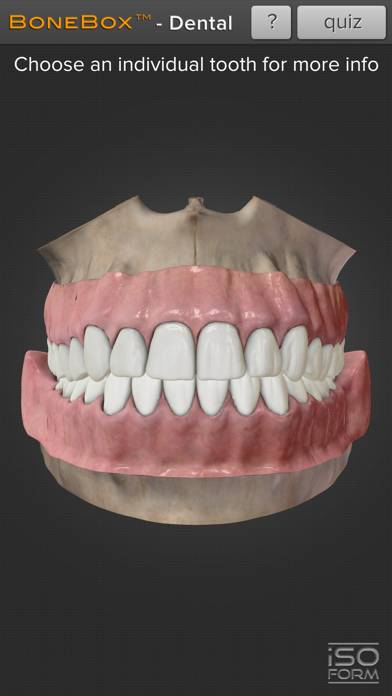 BoneBox™ - Dental Lite skärmdump