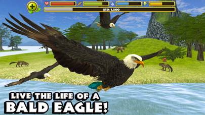 Eagle Simulator App skärmdump #1