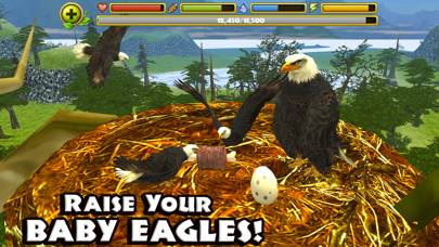 Eagle Simulator App skärmdump #2