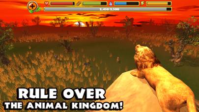 Safari Simulator: Lion App skärmdump #1