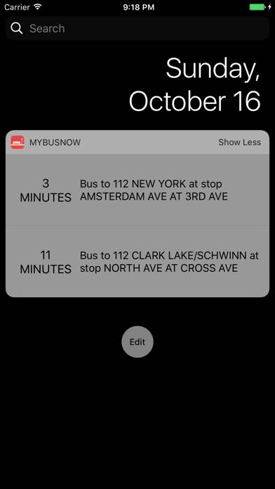 NJ Bus Now Schermata dell'app #2