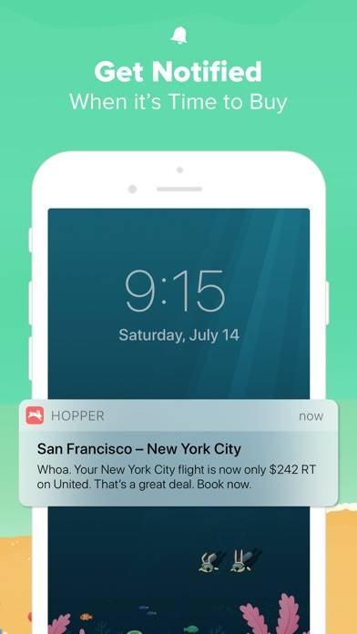 Hopper: Flights, Hotels & Cars App skärmdump #4