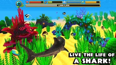Wildlife Simulator: Shark skärmdump av spelet