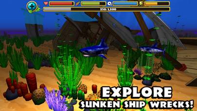 Wildlife Simulator: Shark skärmdump av spelet