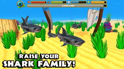 Wildlife Simulator: Shark skärmdump av spelet