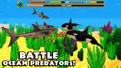 Wildlife Simulator: Shark skärmdump av spelet
