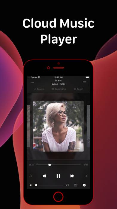 Evermusic Pro: music player screenshot