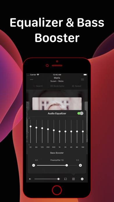 Evermusic Pro: offline music App screenshot #3