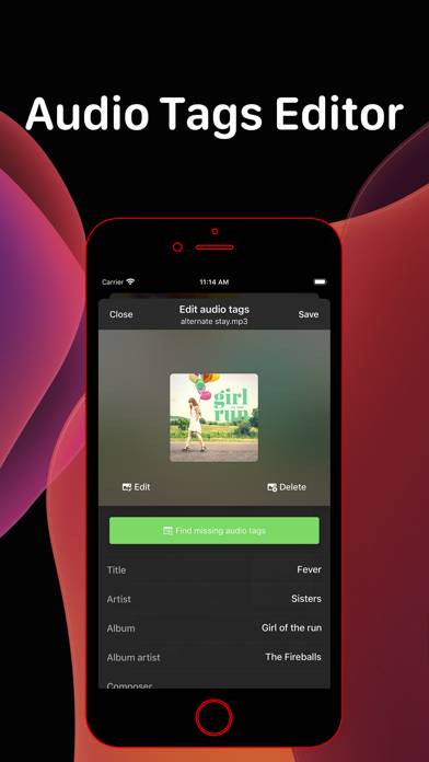 Evermusic Pro: offline music App screenshot #4