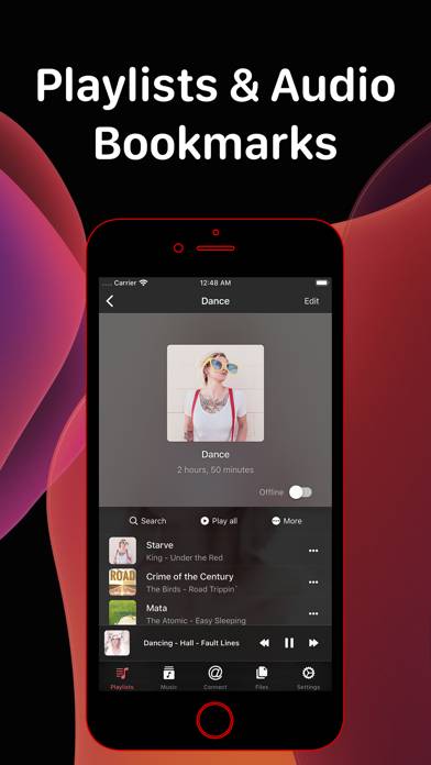 Evermusic Pro: offline music Capture d'écran de l'application #5