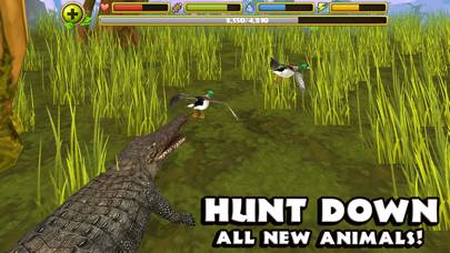 Wildlife Simulator: Crocodile Capture d'écran de l'application #4