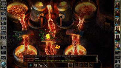 Icewind Dale game screenshot