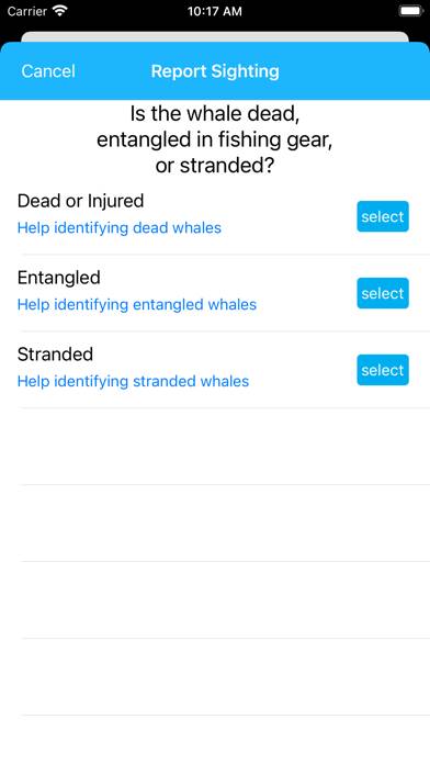 Whale Alert App screenshot